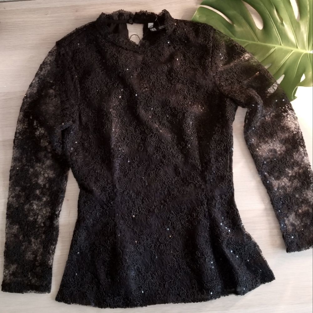 Zara Lace Sequined Blouse